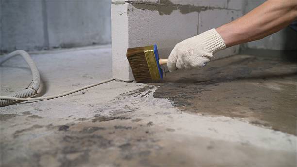 SJ Waterproofing Pros Basement Waterproofing coverage map for Carrollton, VA and surrounding area